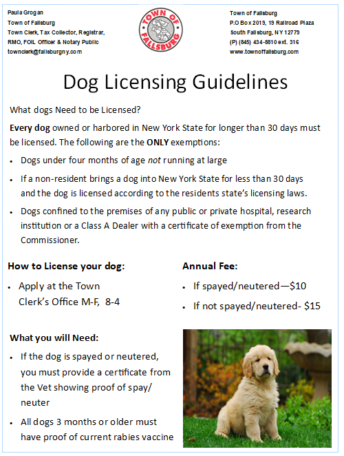 DOG flyer